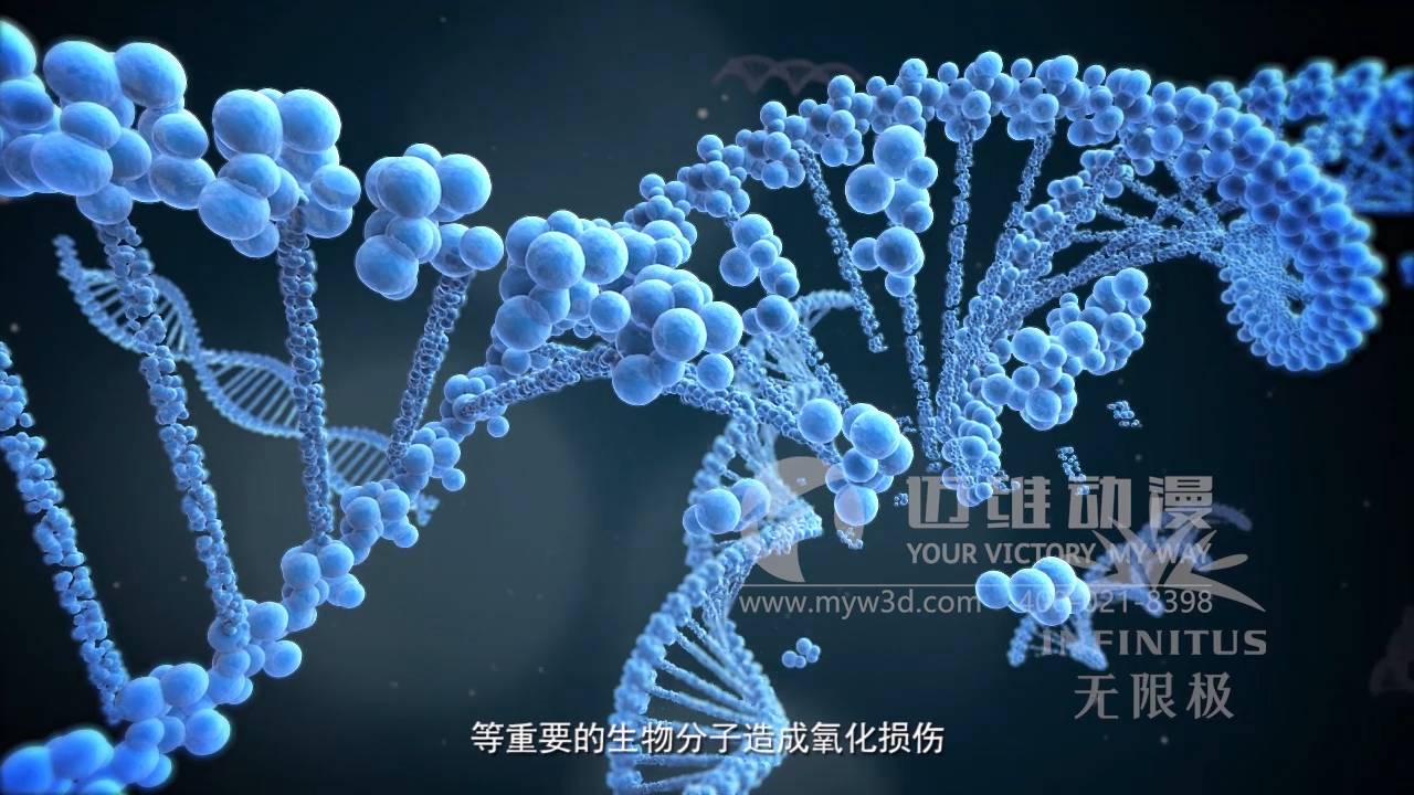 醫(yī)學醫(yī)療三維動畫制作公司 醫(yī)學醫(yī)療三維動畫制作公司