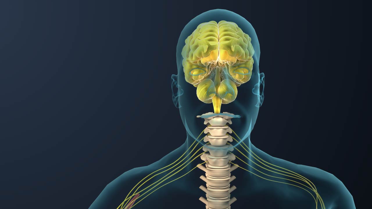 人體手術(shù)三維動畫.jpg 人體手術(shù)三維動畫.jpg