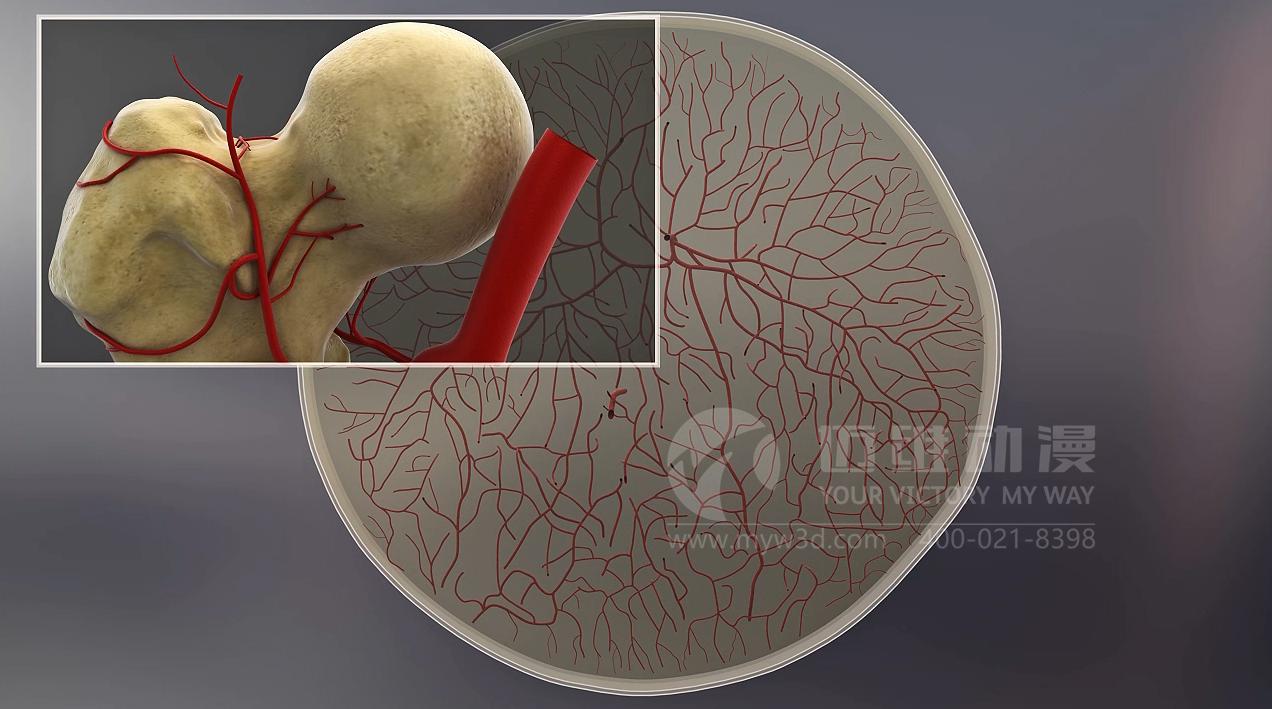 醫(yī)療醫(yī)學(xué)三維動(dòng)畫(huà).jpg 醫(yī)療醫(yī)學(xué)三維動(dòng)畫(huà).jpg