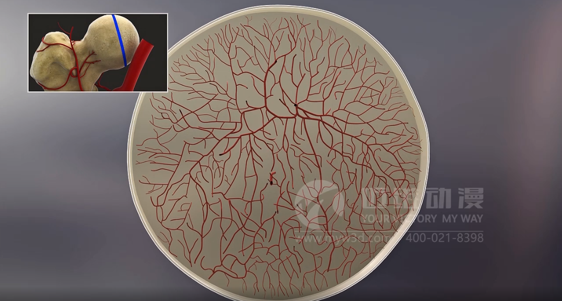 醫(yī)學醫(yī)療行業(yè)為什么青睞于三維動畫？(圖5)