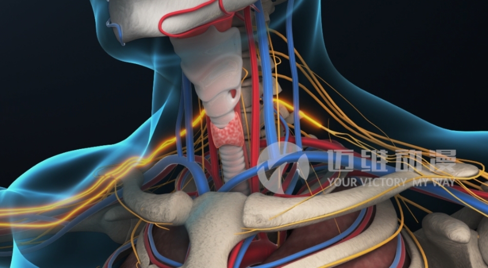 火爆出圈的“三維動(dòng)畫(huà)”，能為醫(yī)學(xué)行業(yè)發(fā)展帶來(lái)哪些機(jī)遇？(圖3)