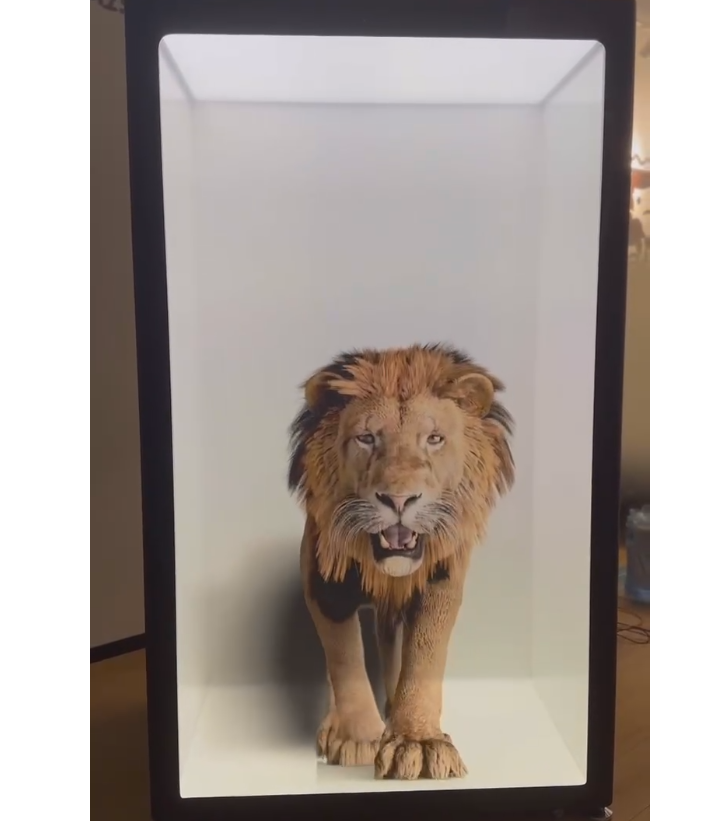 立體展示柜在產(chǎn)品展示方面為何深受企業(yè)青睞？這些優(yōu)勢早知道！(圖1)