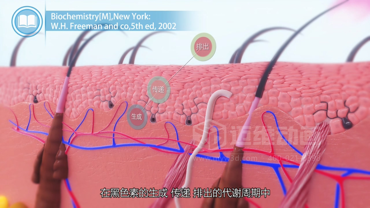 醫(yī)學(xué)科普從來不是 “天書”：三維動畫讓復(fù)雜科學(xué)原理輕松 get！(圖2)