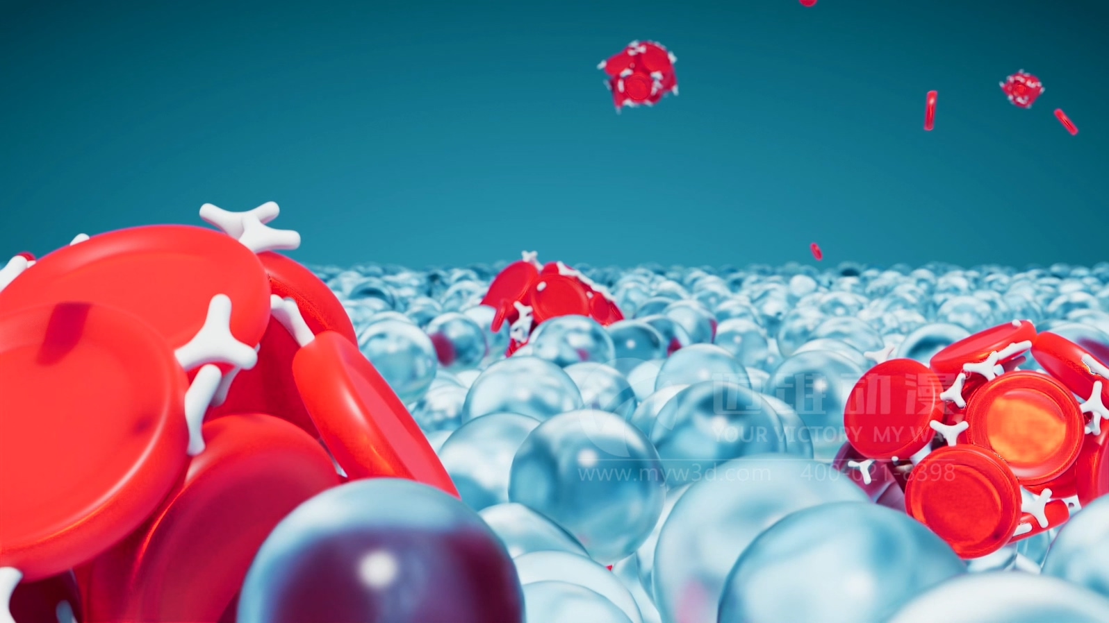 全自動血型分析儀產(chǎn)品三維動畫(圖3)