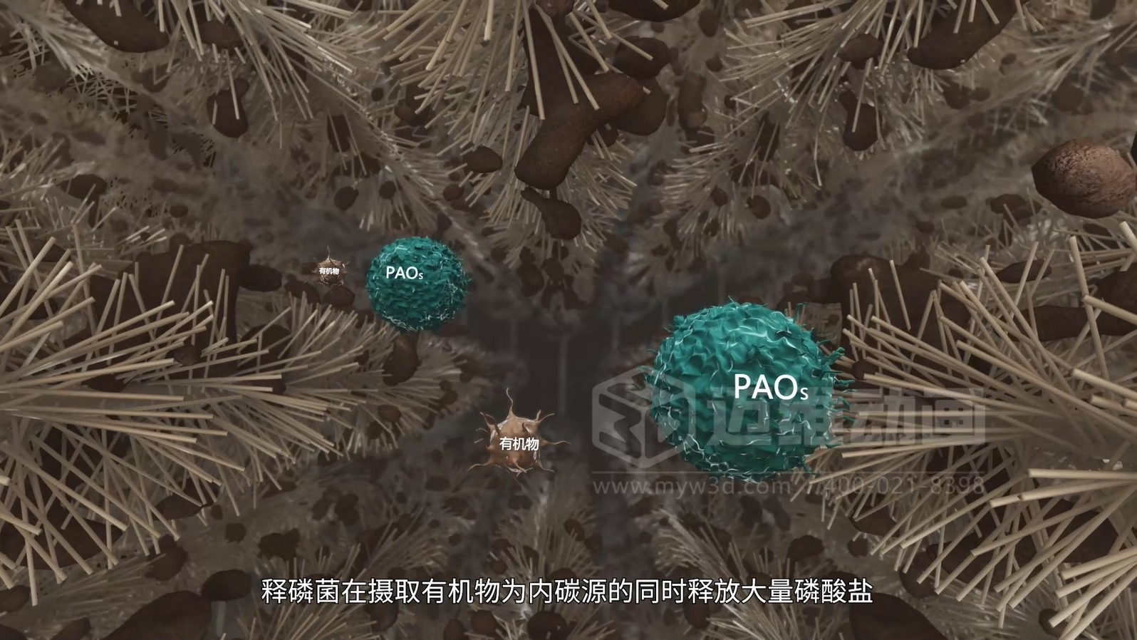 驚爆！三維動畫全方位展示鄉(xiāng)鎮(zhèn)污水一體化處理工藝，環(huán)保企業(yè)機遇來襲(圖4)