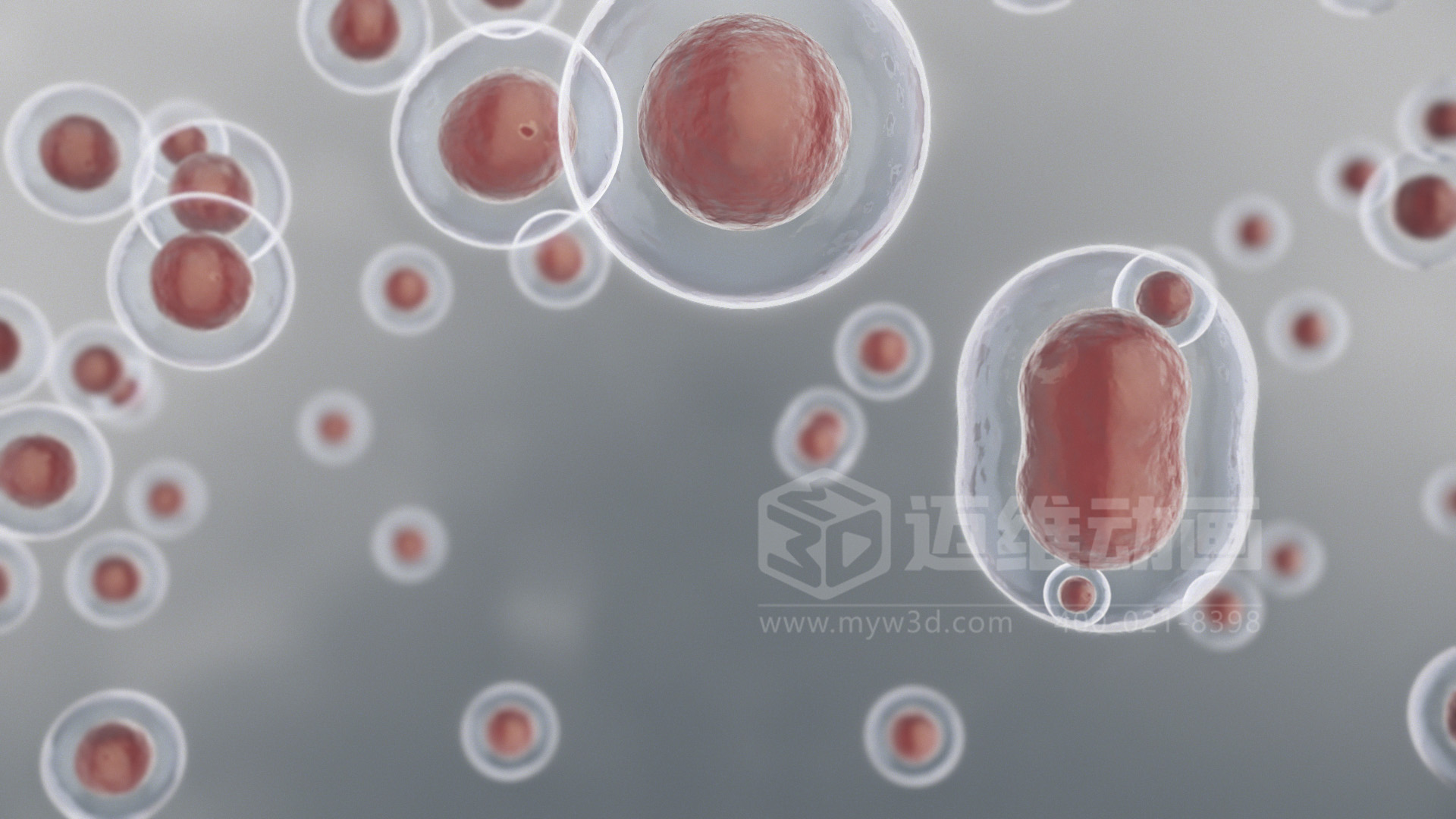 技術(shù)太復雜，講不明白？用 3D 動畫為您的生物科技產(chǎn)品打造 “視覺說明書”(圖3)